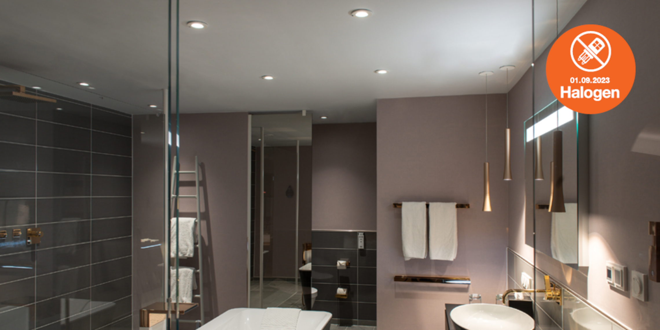 Lösungen zum Halogenlampen Verbot bei Elektro-Gast Installationen und Verteilerbau e.K in Vogelsberg